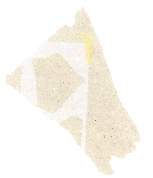 Texture image