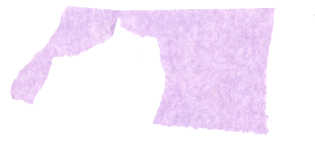 Texture image