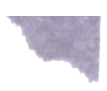 Texture image