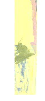 Texture image