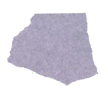 Texture image